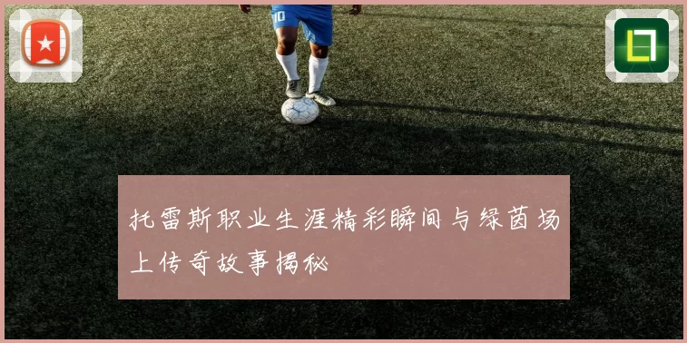 托雷斯职业生涯精彩瞬间与绿茵场上传奇故事揭秘
