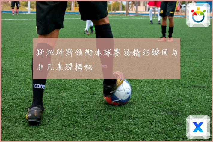 斯坦科斯领衔冰球赛场精彩瞬间与非凡表现揭秘